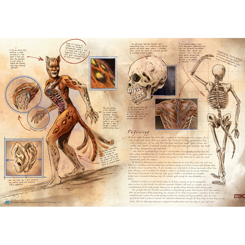DC Comics: Anatomy of a Metahuman - Explore Superhuman Biology | Perfect for Comic Fans & Collectors | Great Gift for DC Enthusiasts