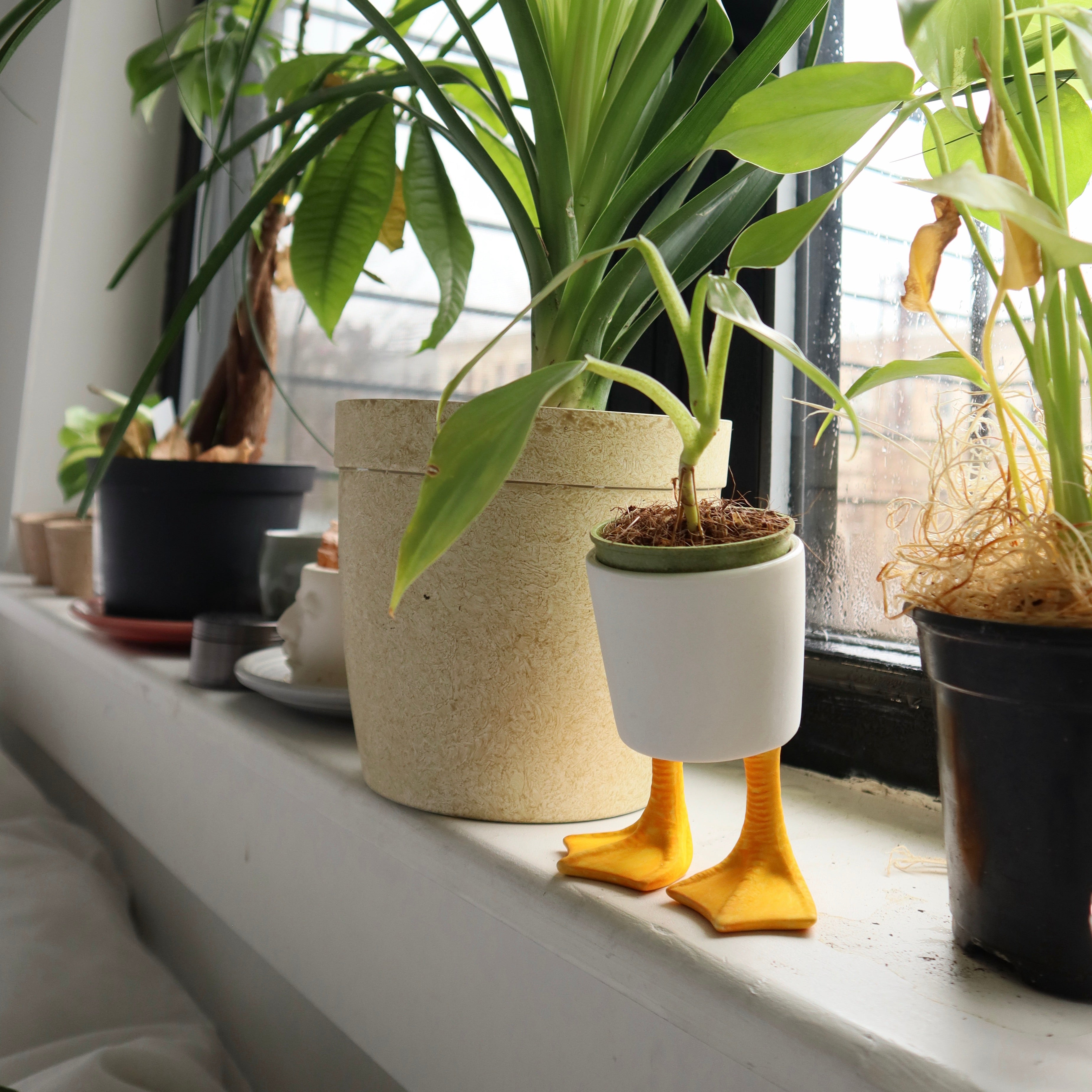 Small Duck Feet Planter - Cute Animal Shaped Flower Pot for Succulents & Small Plants - Perfect for Home Decor, Office Desk & Garden Decorations