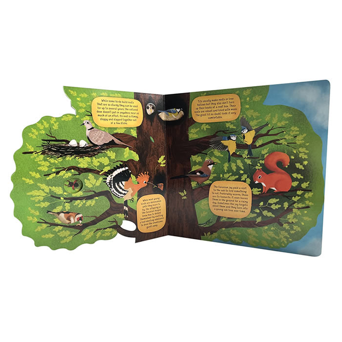 Discovering The World Of Bird Nests - Illustrated Board Book for Kids | Educational Nature Exploration | Perfect for Bedtime Stories & Classroom Learning