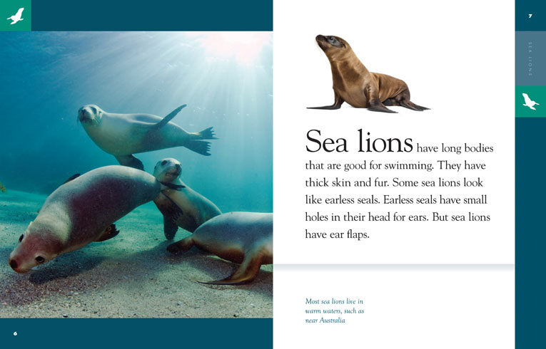 Amazing Animals (2014): Sea Lions - Educational Wildlife Documentary for Kids & Nature Lovers | Perfect for Classroom Learning & Family Movie Nights