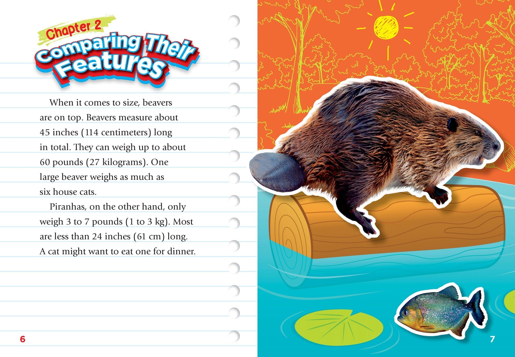 Beaver vs. Piranha: Ultimate Animal Showdown - Perfect for Wildlife Enthusiasts & Educational Use