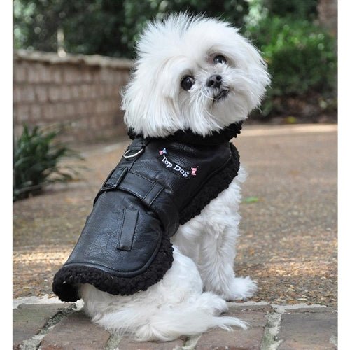 Black Top Dog Flight Coat with Leash - Warm Winter Dog Jacket for Small to Medium Dogs - Perfect for Outdoor Adventures, Travel & Cold Weather Protection