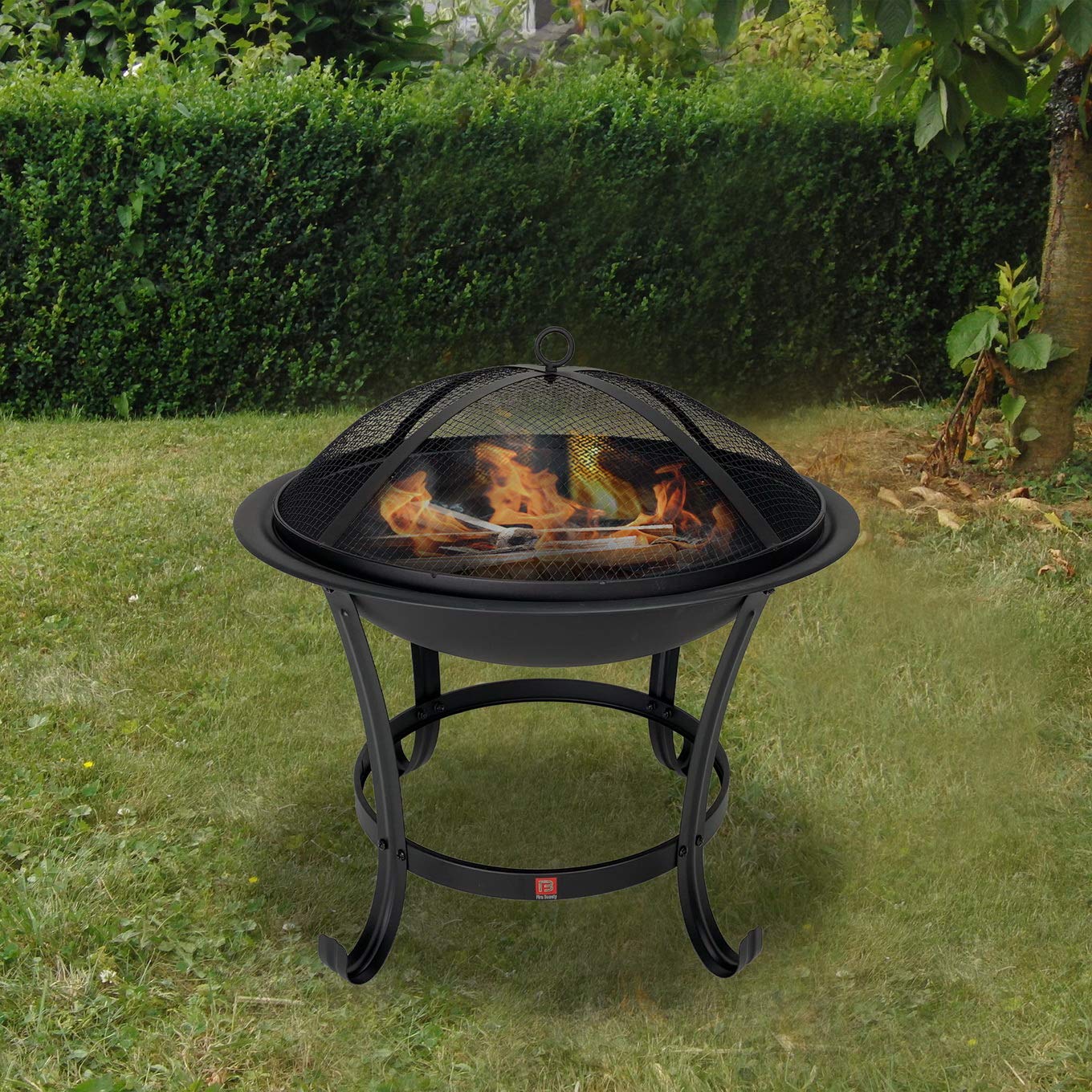 FireBeauty 22