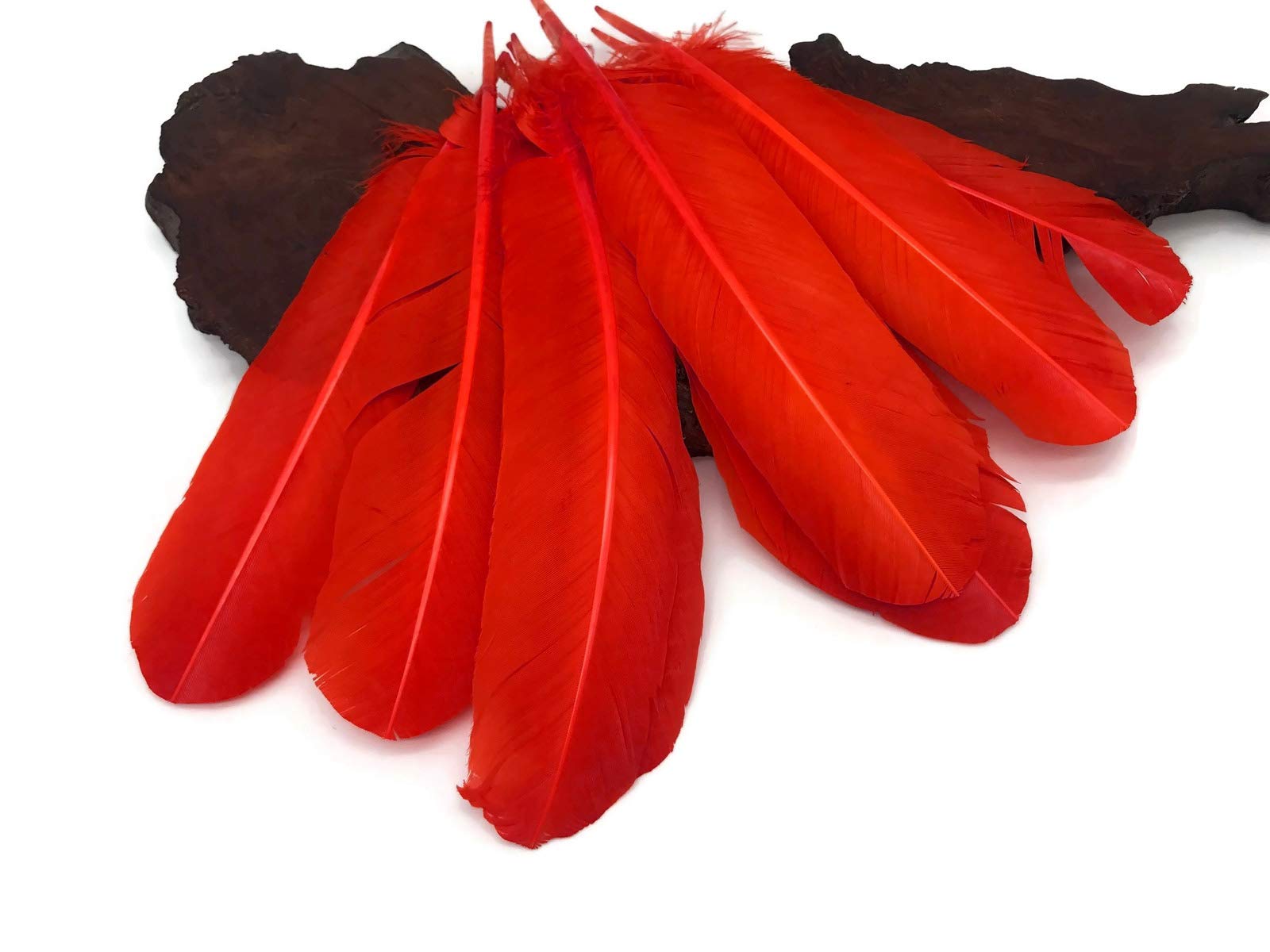1 Lb. Bulk Red Turkey Tom Rounds Secondary Wing Quill Feathers for Halloween Crafts, DIY Costumes, Dreamcatchers & Home Decor | Premium Wholesale Feathers by Moonlight Feather