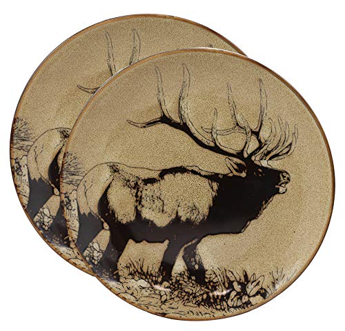Set of 2 Salad Or Appetizer or Dessert Plates
