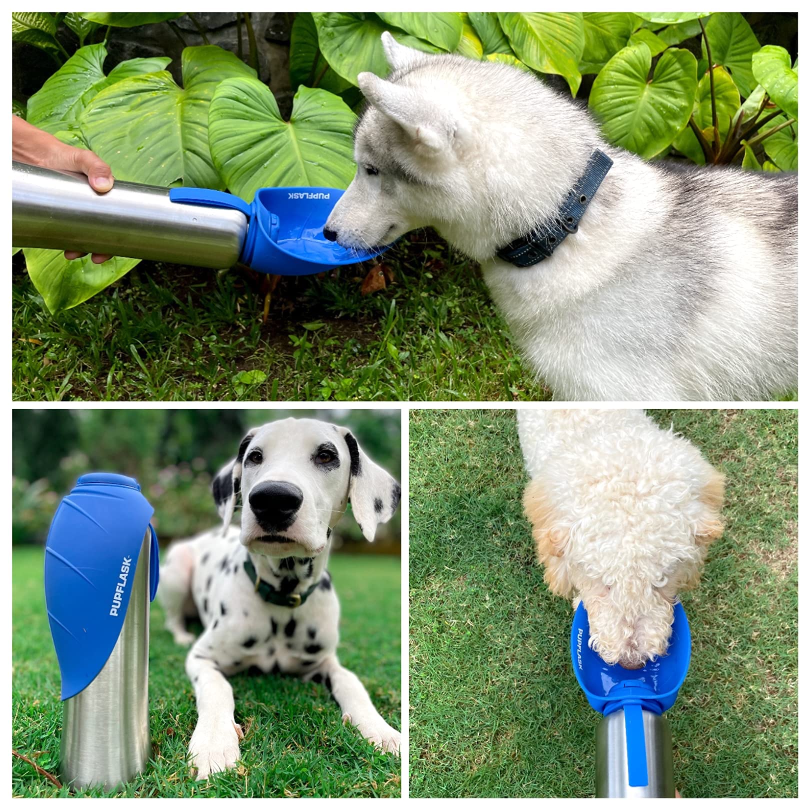 Tuff Pupper 40oz Dog Water Bottle Holder & PupFlask Portable Pet Water Bottle - Leakproof, BPA-Free, for Hiking, Walking, and Outdoor Adventures (Blue)