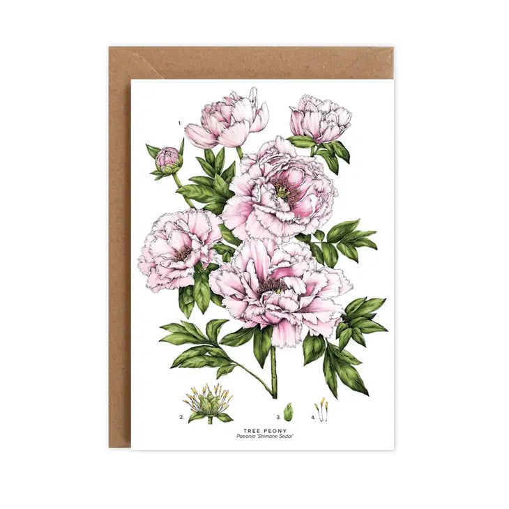 Peony Blank Greeting Card Set - Elegant Floral Design for Birthdays, Weddings & Thank You Notes - Perfect for DIY Crafting & Handwritten Messages