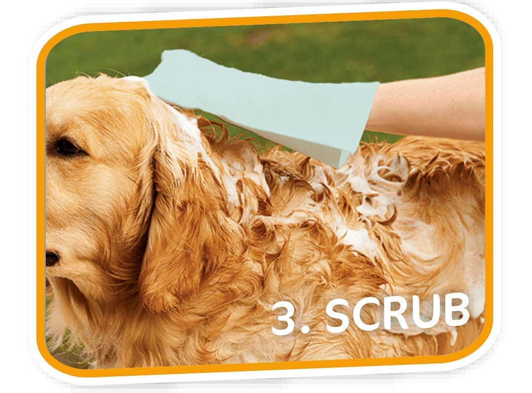 Pet Fresh Wash Mitts - Water Activated Pet Shampoo Gloves for Dogs & Cats - 5 Pack - Gentle Bathing & Grooming for Clean & Healthy Pets