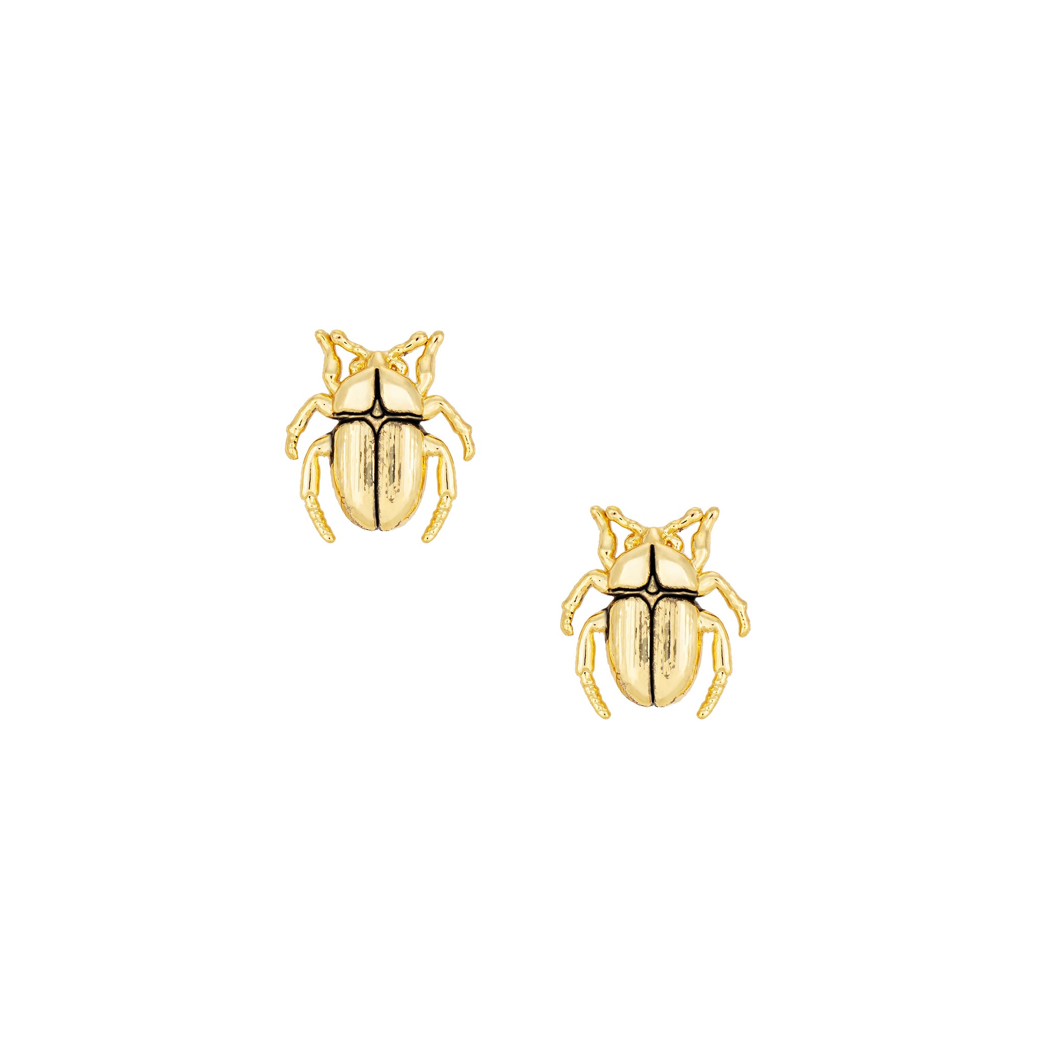 Beetle Stud Earrings for Women - Stainless Steel Hypoallergenic Tiny Studs - Perfect for Daily Wear, Work, and Special Occasions