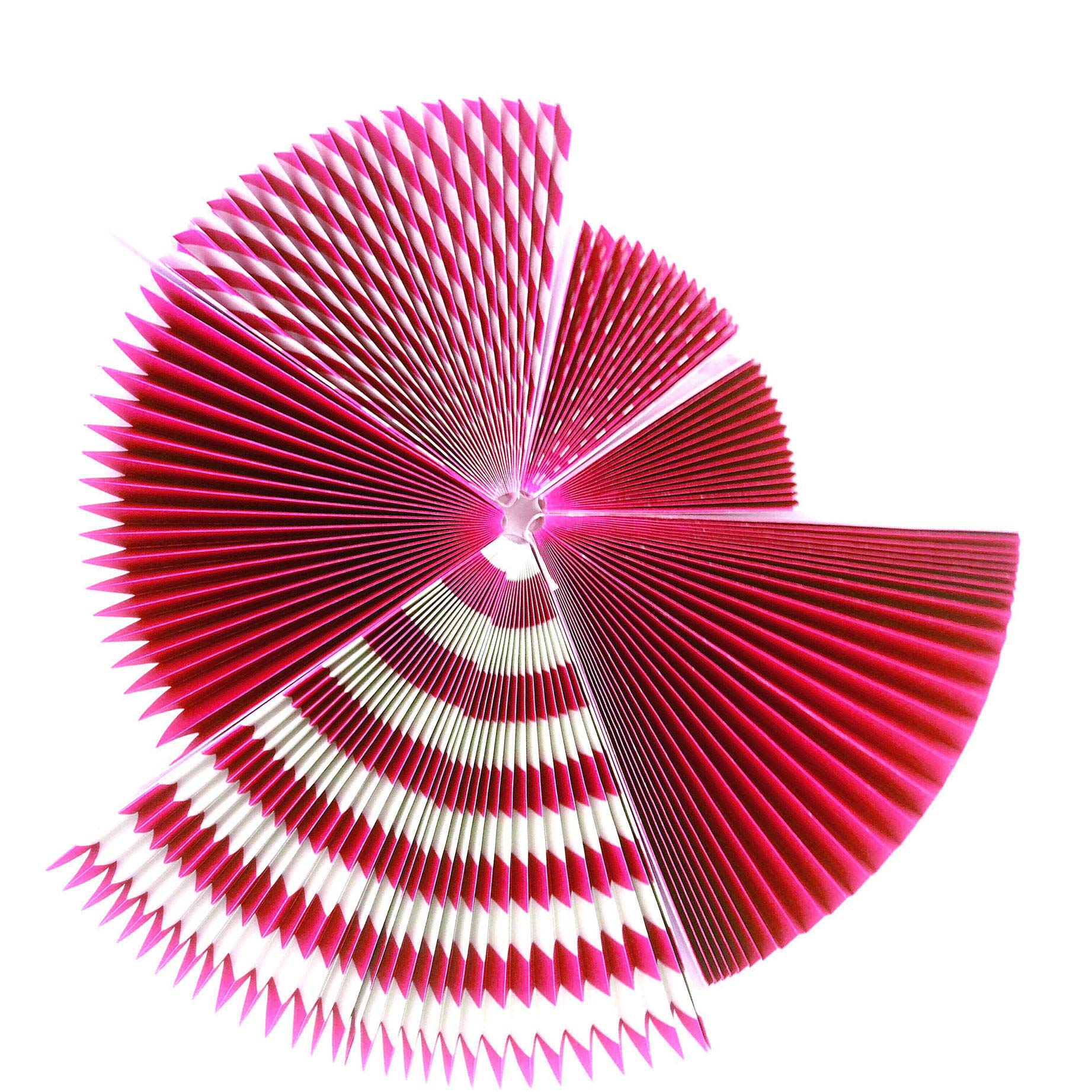 Hot Pink and Black Paper Fans Decorations - 12pc Hanging Party Decor for Birthday, Wedding, Bridal Shower, Bachelorette & Carnival | Ceiling Hangings & Photo Booth Backdrops for Women & Girls Celebrations