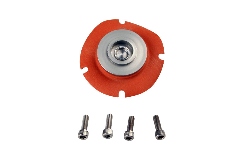 Aeromotive Fuel Pressure Regulator Repair Kit - Compatible with 13202, 13113, 13209, 13214, 13212 - Perfect for Automotive Fuel System Maintenance & Performance Upgrades