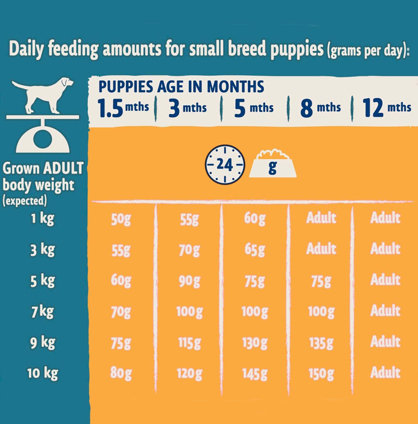 Purina Beta Puppy Small Breed Dry Dog Food with Chicken - 2KG Bag | High Protein Puppy Food for Small Dogs | Perfect for Training, Growth & Daily Nutrition