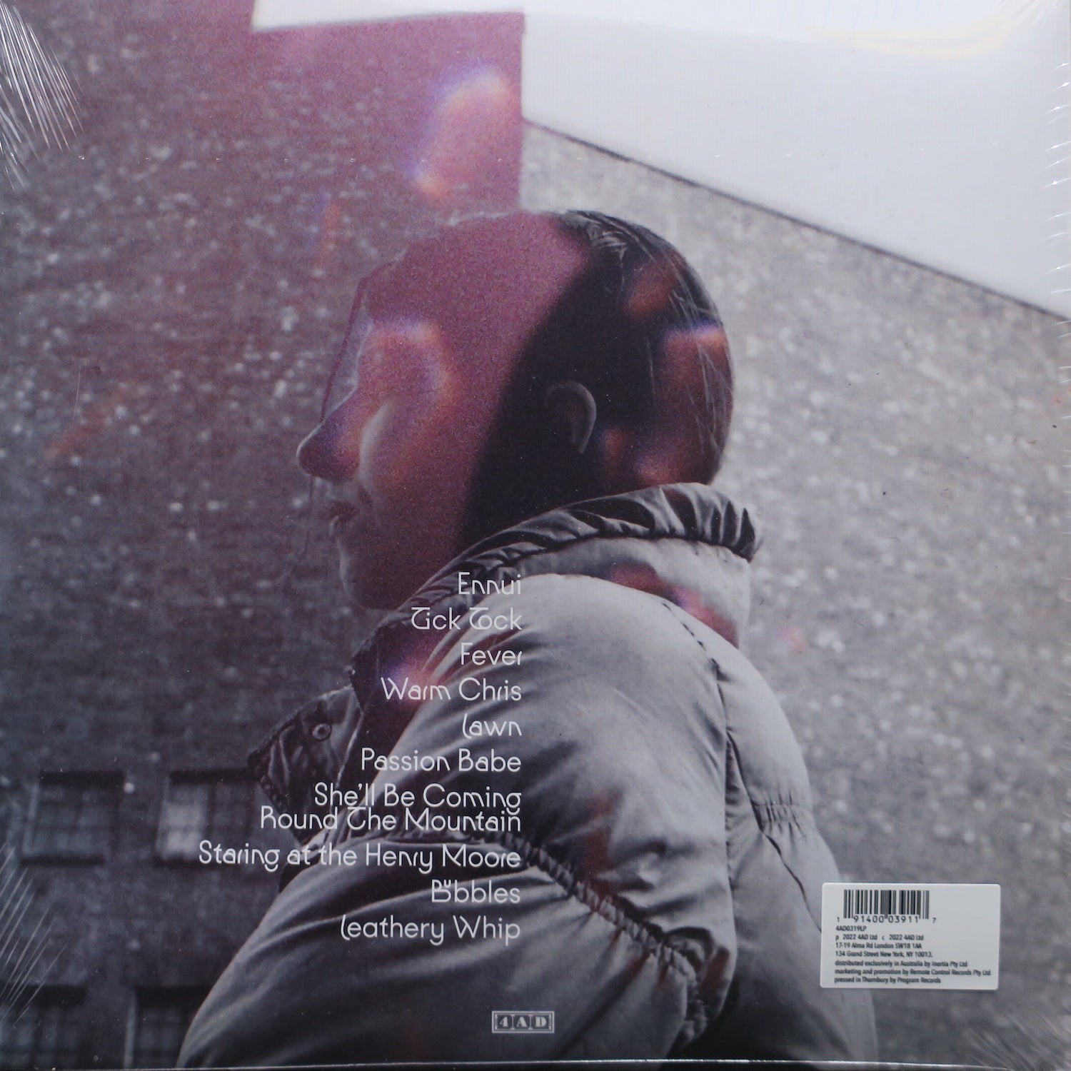 ALDOUS HARDING 'Warm Chris' Vinyl LP Record - Limited Edition Indie Folk Music Album for Vinyl Collectors & Music Lovers - Perfect for Home Listening & Gift Giving