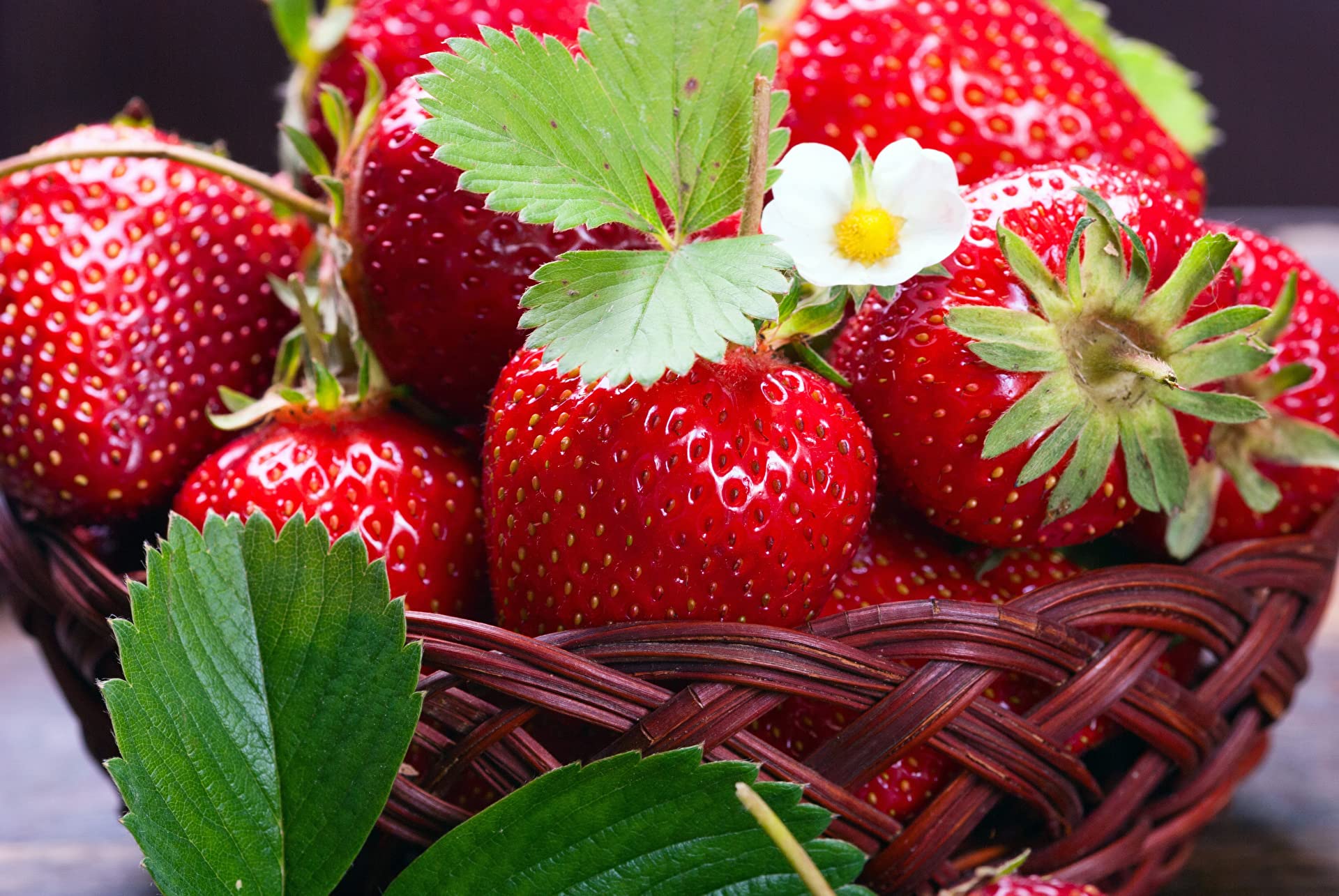 15+ Giant Strawberry Fresca Everbearing Seeds - Sweet Red Fruit Plants for Home Garden, Patio & Container Planting