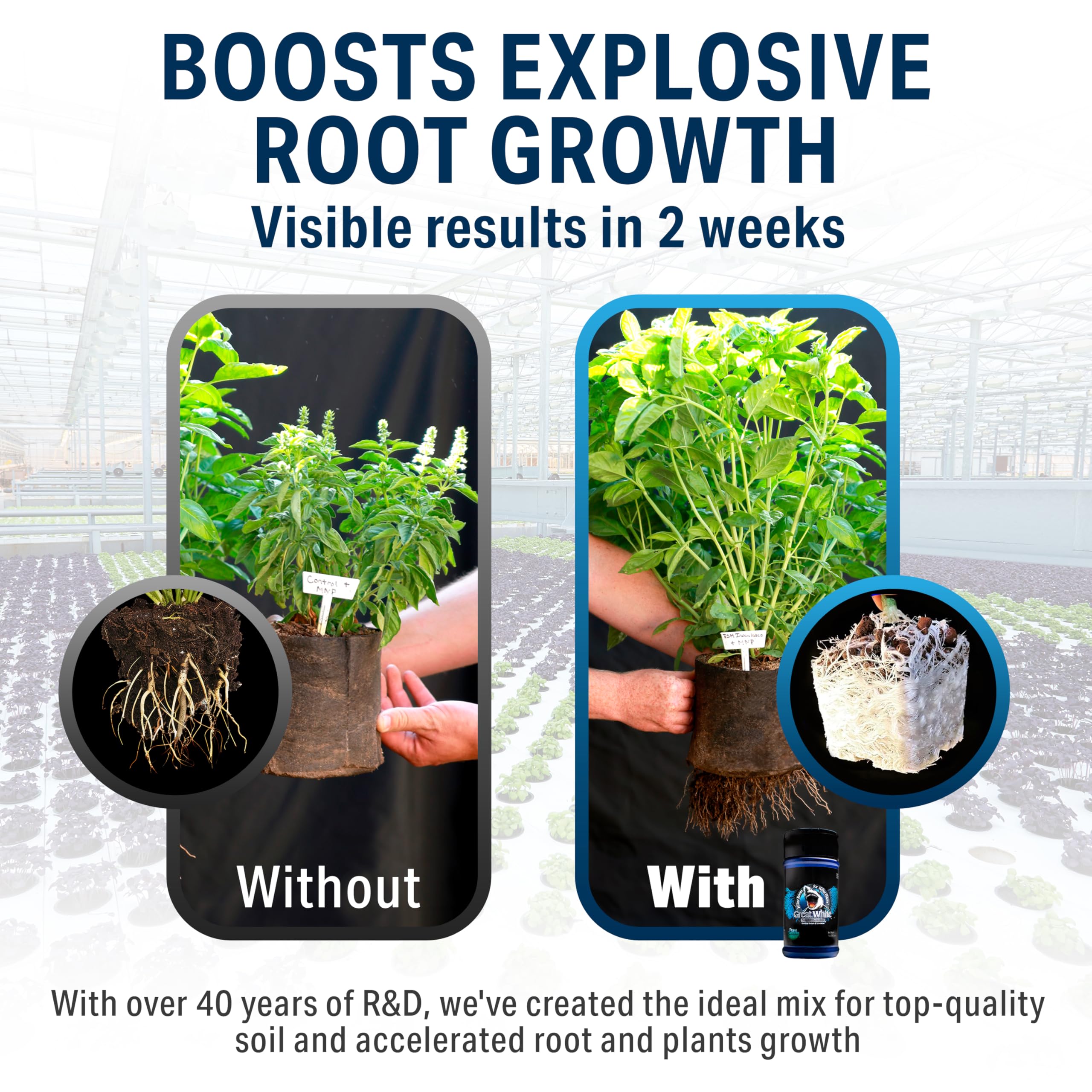 Premium Mycorrhizal Fungi 4 oz - Organic Root Stimulator & Plant Growth Booster with Beneficial Bacteria | 3-in-1 Concentrated Formula for Healthier Plants | Ideal for Indoor Houseplants, Vegetable Gardens & Hydroponics by Plant Success (32 oz)