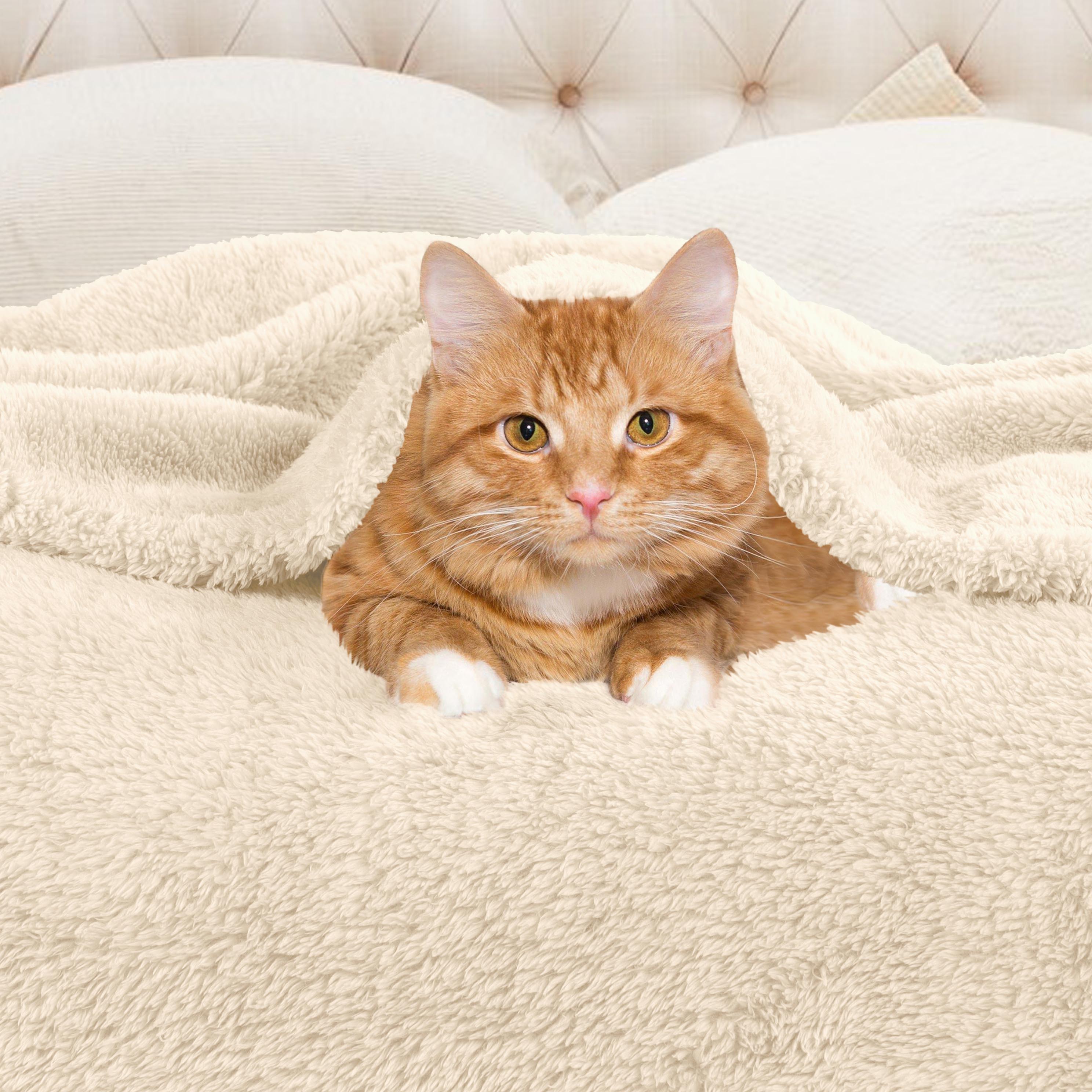 Classic Solid Fleece Plush Medium Weight Fluffy Soft Blanket - Cozy & Warm for Bed, Sofa, Travel & Gifts | Ultra-Soft Throw Blanket for All Seasons
