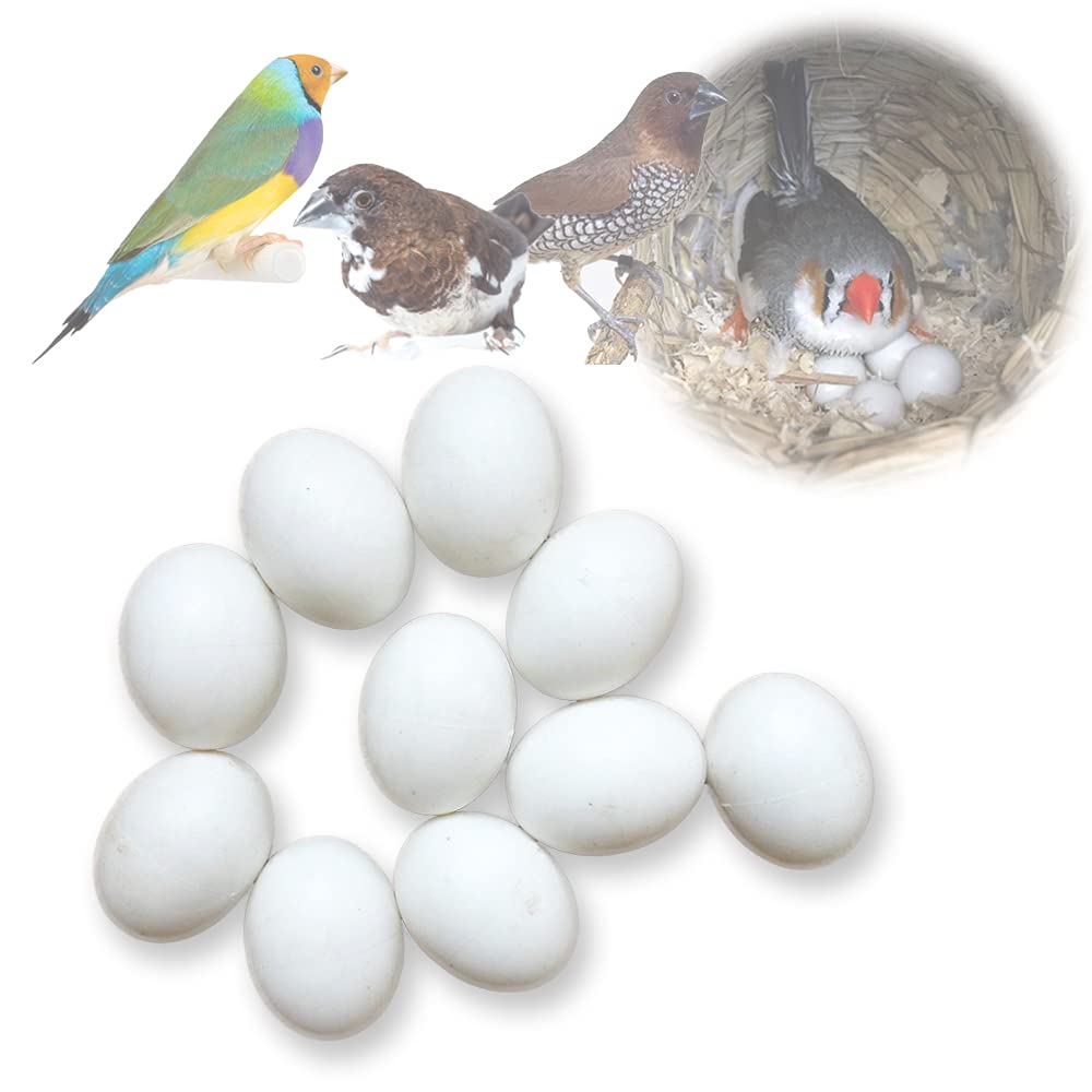 MESINURS 10-Pack Solid Plastic Eggs for Parrots - Stop Birds from Laying, Hatching Replacement Eggs | Perfect for Bird Breeding, Nesting Control & Training | Ideal for Aviaries, Pet Stores & Bird Owners