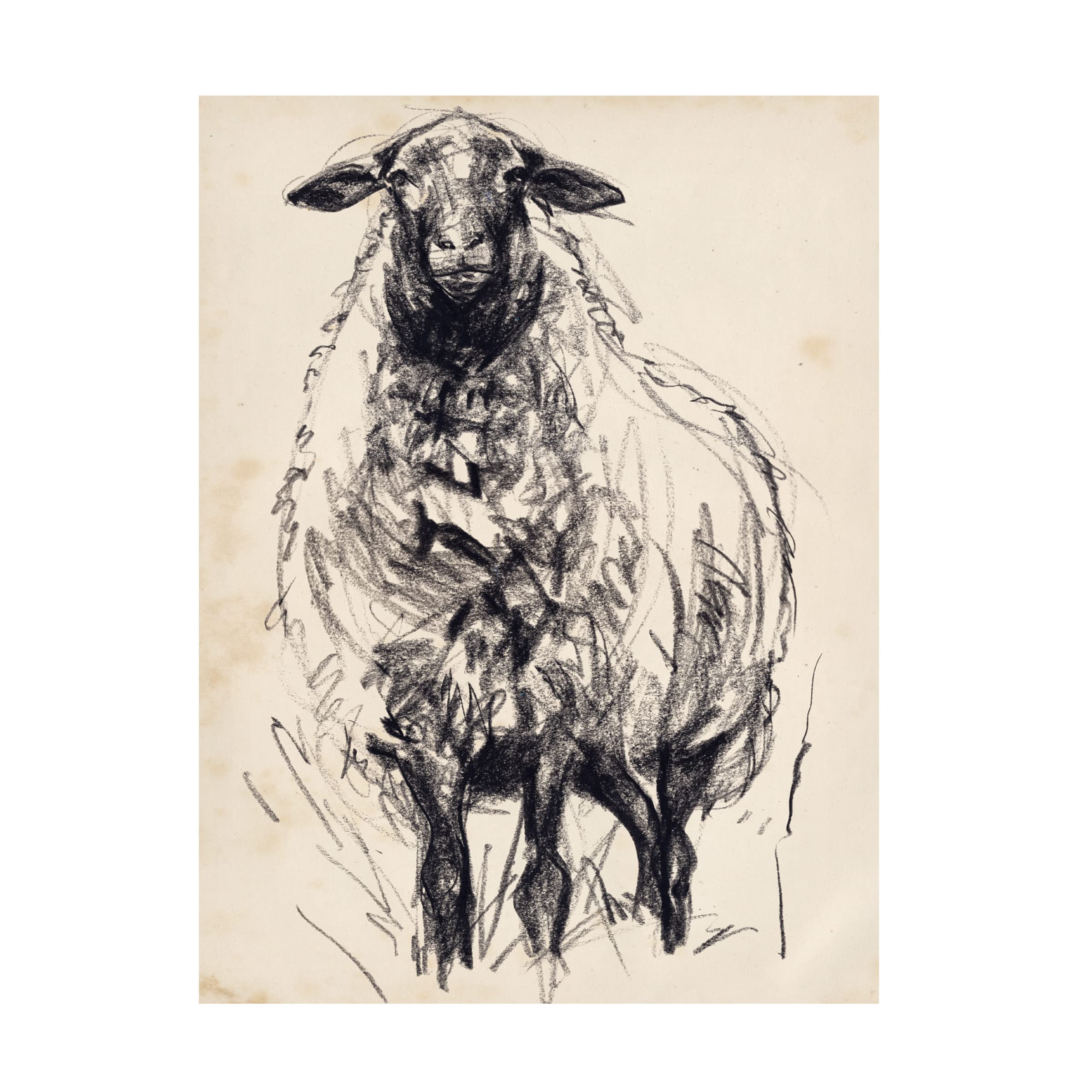 Jennifer Paxton Parker 'Charcoal Sheep I' Canvas Wall Art Print - Modern Farmhouse Decor for Living Room, Bedroom & Office