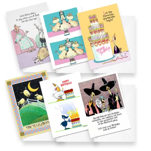 Funny Happy Birthday Cards Set of 24 with Envelopes - Assorted Greeting Cards for Mom, Dad, Sister, Friends & Loved Ones - Perfect for Birthdays, Celebrations & Special Occasions - Stonehouse Collection Boxed Cards