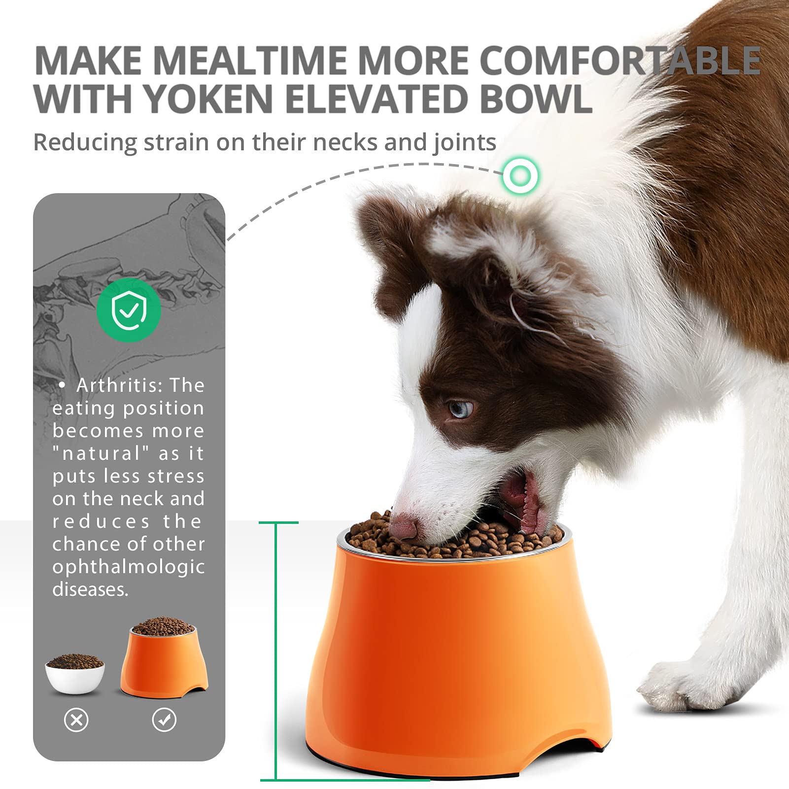 Yoken Elevated Dog Bowls - Non-Slip Stainless Steel Raised Pet Food Bowls for Small & Medium Dogs - Helps Prevent Neck Strain & Vertebrae Issues - Perfect for Home, Kitchen or Outdoor Use
