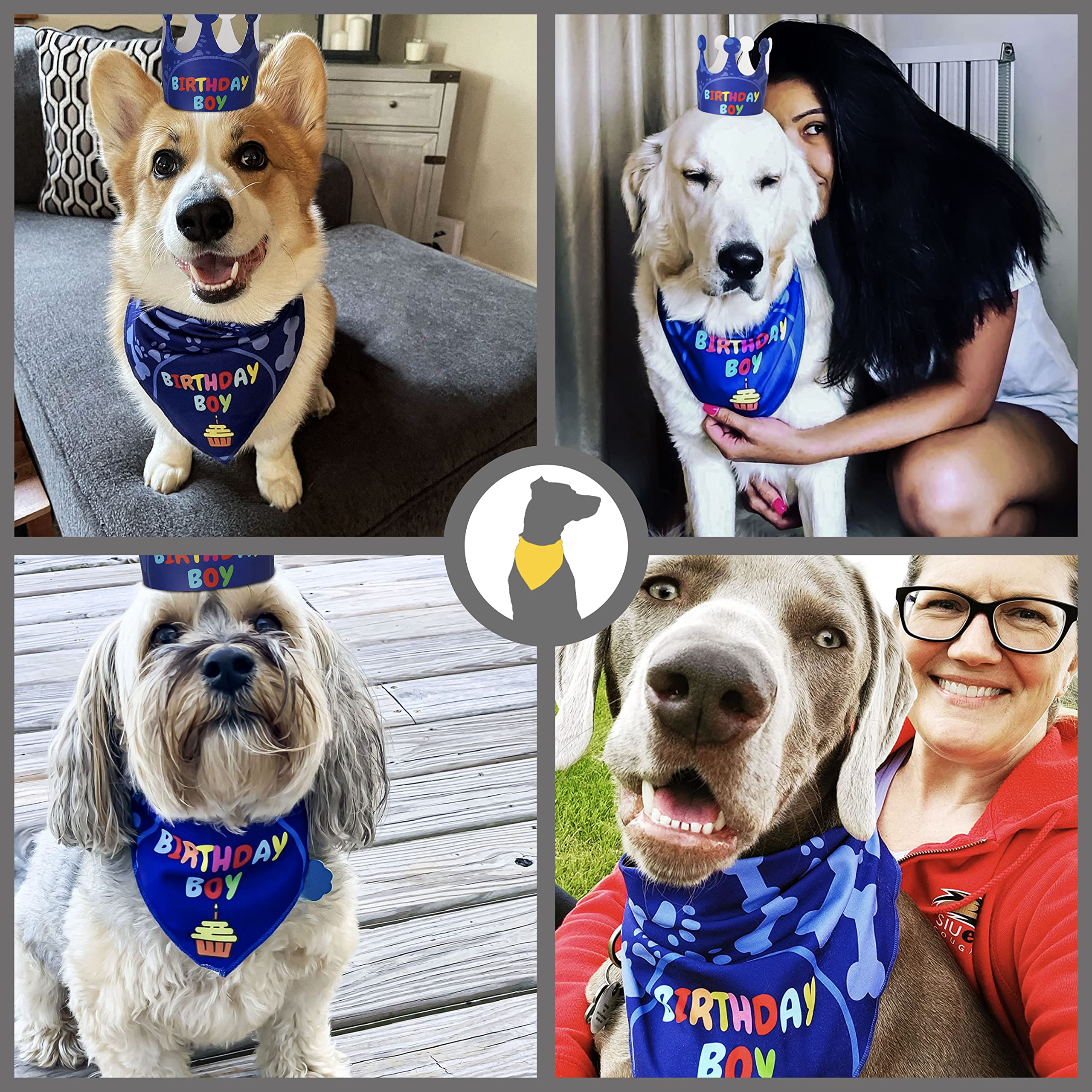 Dog Birthday Party Decorations Set - Birthday Bandana, Hat & Banner for Small Dogs & Puppies - Perfect for Birthday Celebrations & Photo Shoots