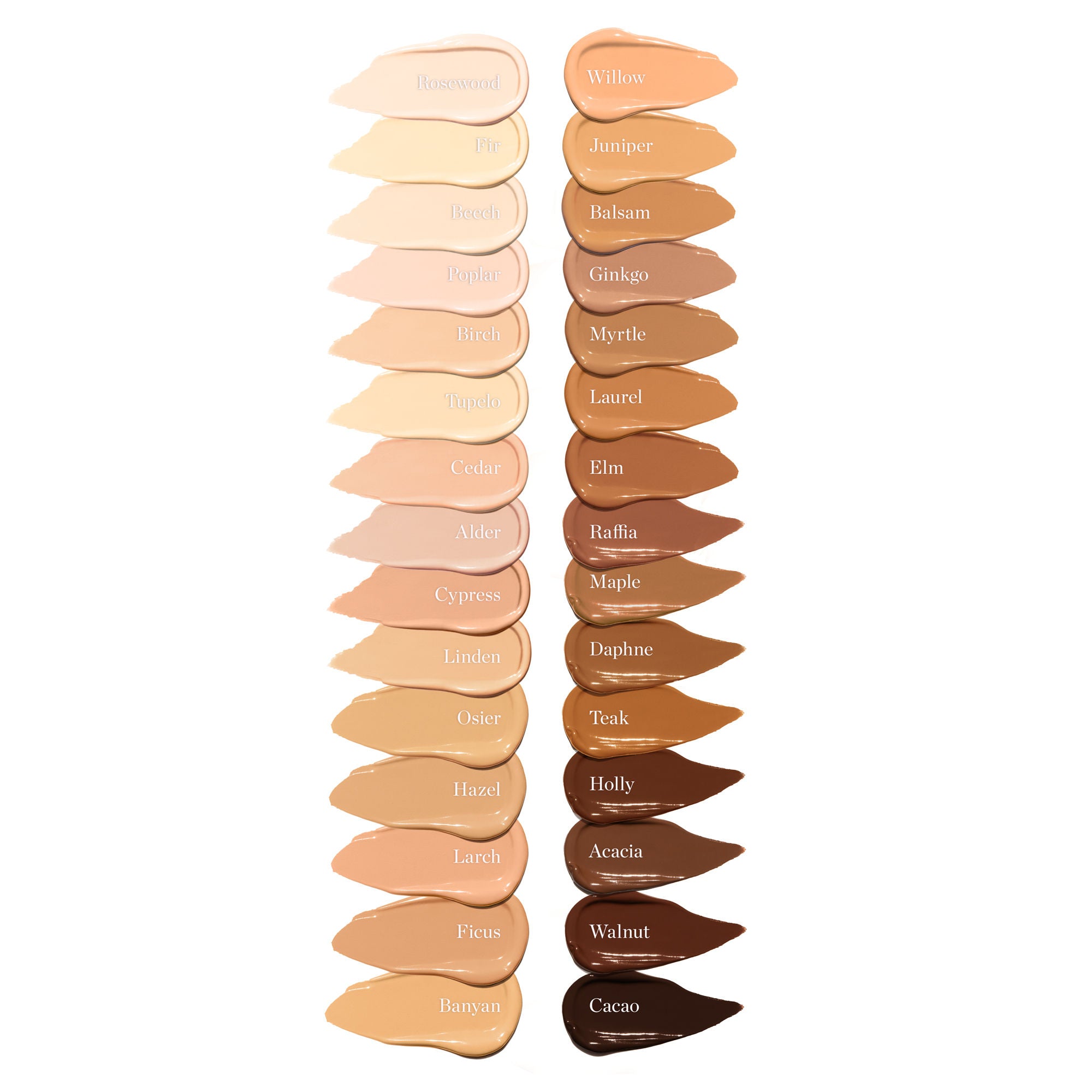 Flawless Complexion Perfecting Concealer - Full Coverage, Long Lasting, Crease-Free - Ideal for Dark Circles, Blemishes & Under Eye Brightening - Perfect for Everyday Makeup & Special Occasions
