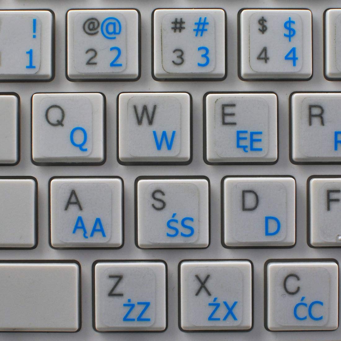 Polish Programmer Keyboard Labels - Blue Lettering for Coding & Gaming
