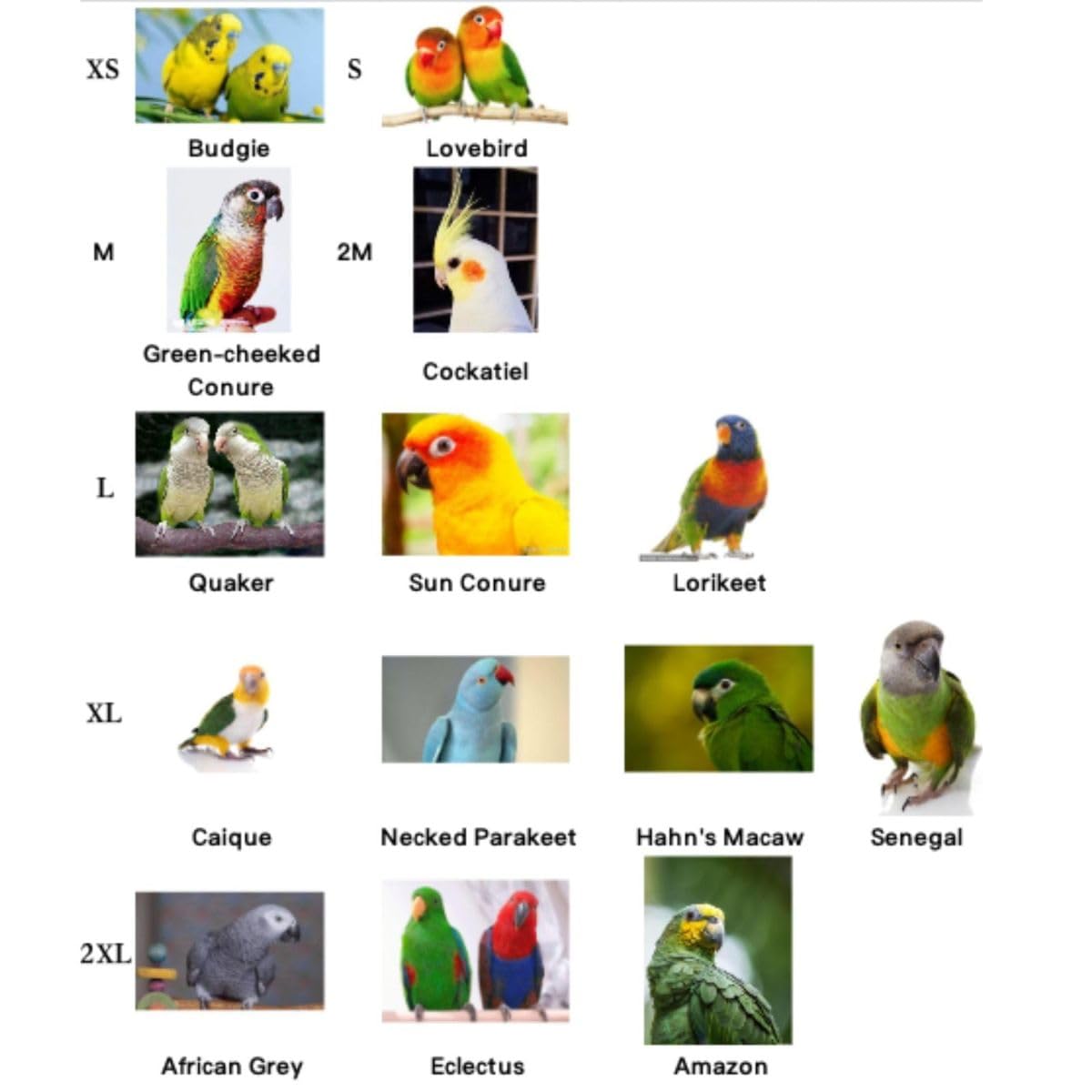 Bird Flight Suits with Diapers for Parrots - Quaker Parakeets & Cockatiels - Parrot Clothes in Almond A & Macaw Sizes | Perfect for Training, Travel & Indoor Play
