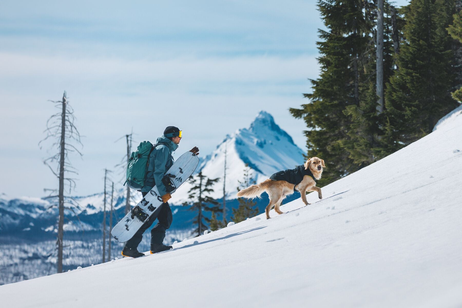 Ruffwear® Quinzee™ Dog Jacket - Insulated & Foldable, River Rock Green - Warm Winter Coat for Outdoor Adventures, Hiking & Cold Weather Protection