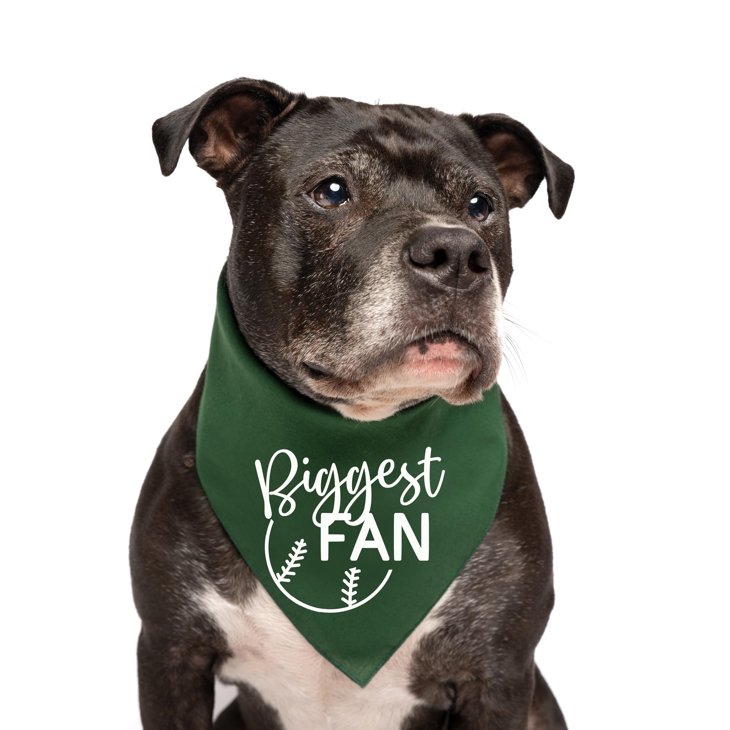 Biggest Fan Baseball Dog Bandana - Navy Blue Adjustable Pet Bandana for Dogs & Cats - Perfect for Baseball Games, Pet Birthdays & Photo Shoots (One Size Fits Most)