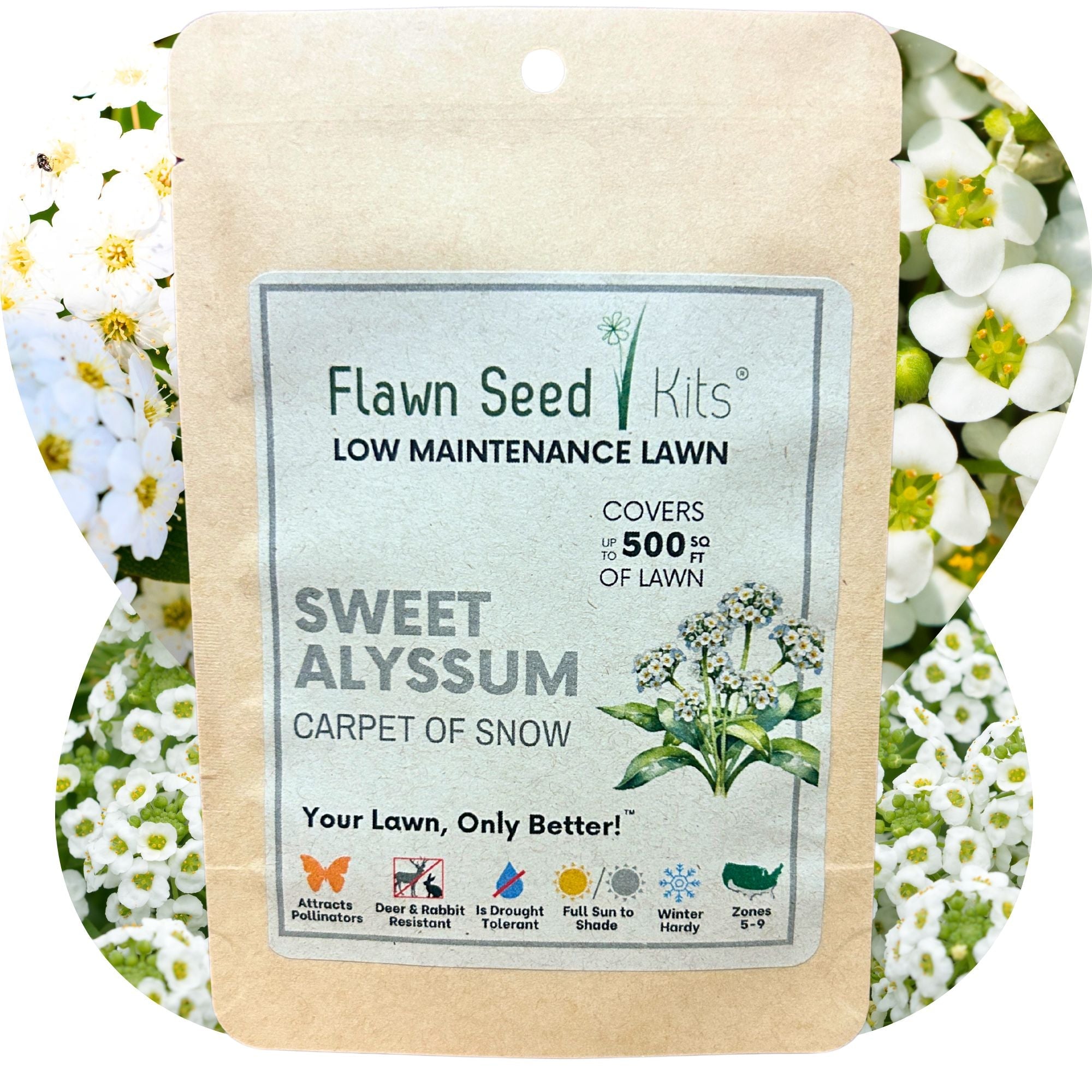 Sweet Alyssum Carpet of Snow Seeds - Fragrant White Flowering Ground Cover for Eco-Friendly Gardens & Lawns | Perfect for Borders, Rock Gardens & Pollinator-Friendly Landscaping