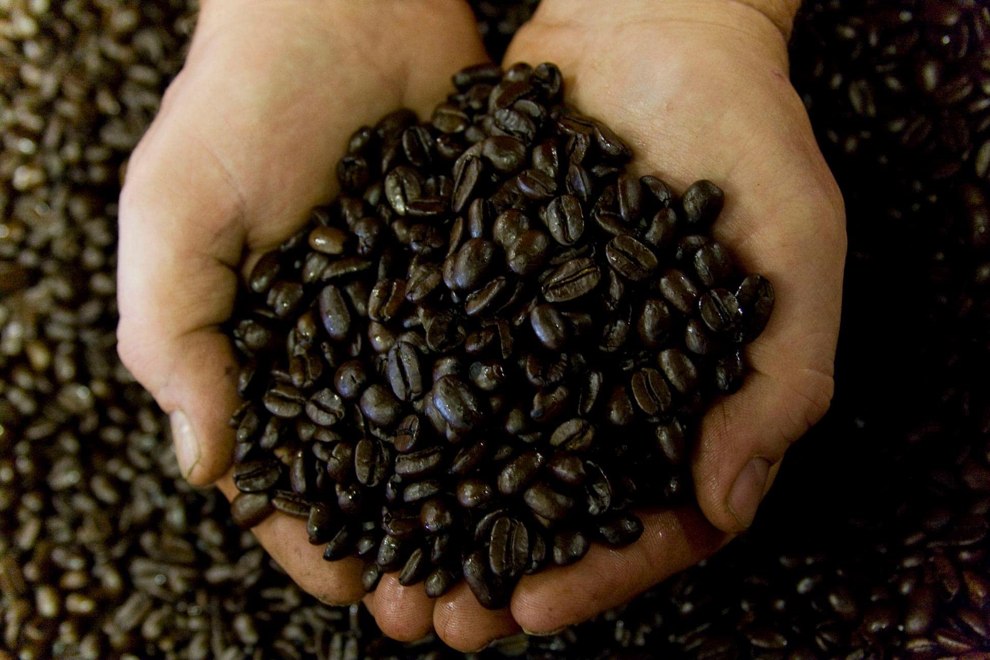 Premium Medium Dark Roast Whole Bean Coffee - 2lb Bag for Home Brewing