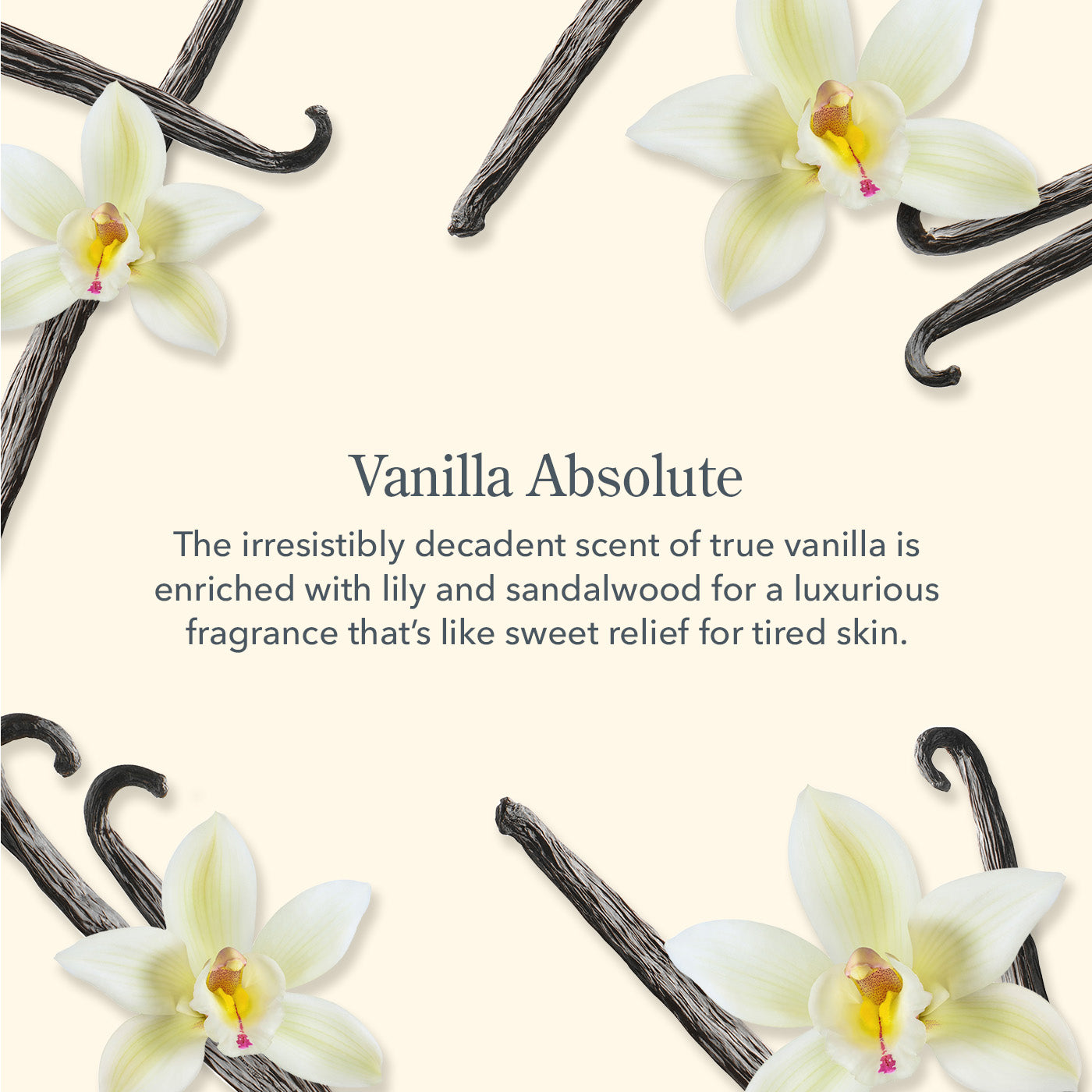Vanilla Absolute Face Wipes - Organic & Gentle Facial Cleansing Wipes for All Skin Types | Perfect for Travel, Gym & Daily Skincare Routine