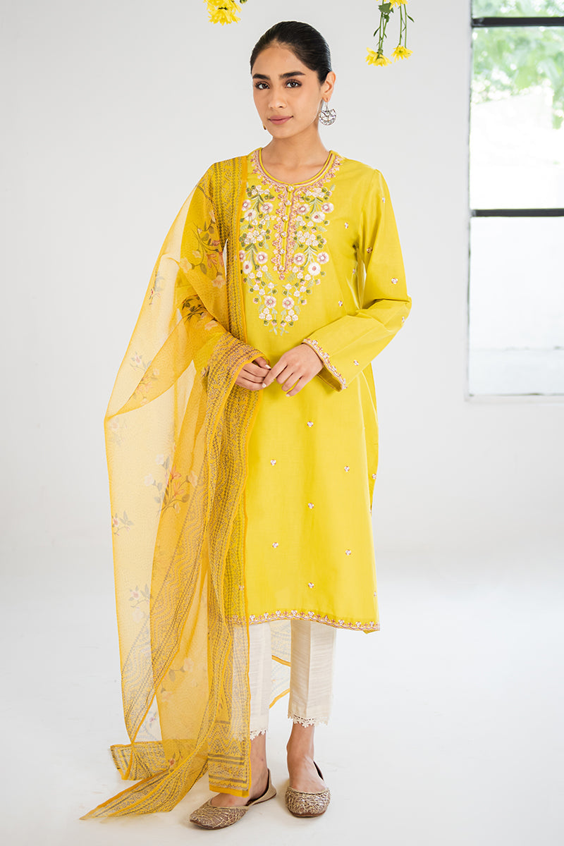 Amber Glow 2-Piece Outfit Set (Shirt & Dupatta) - Elegant Ethnic Wear for Women | Perfect for Weddings, Parties & Festive Occasions
