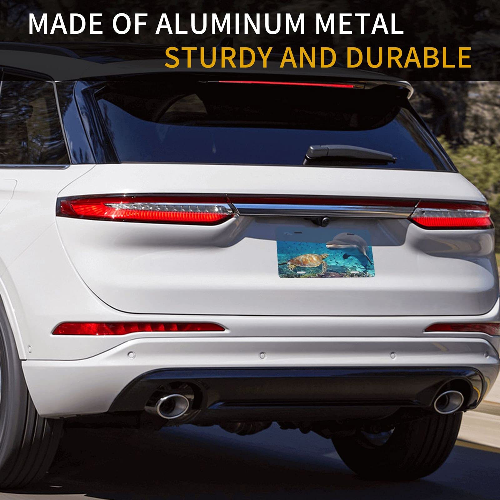 Sea Turtle & Beluga Whale Metal License Plate Cover - 6x12 Inch Aluminum Vanity Car Tag for Men & Women - Perfect for Beach Lovers, Marine Life Enthusiasts & Coastal Road Trips