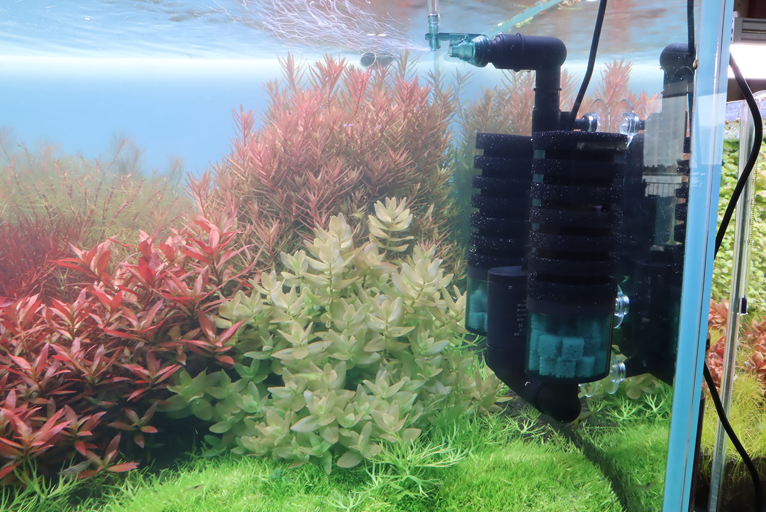 Ultra Quiet Aquarium Sponge Filter Bubbler with Water Pump & Ceramic Balls - 15-50 Gallon Fish Tank Filter for Shrimp Breeding, Tropical Fish Tanks & Freshwater Aquariums