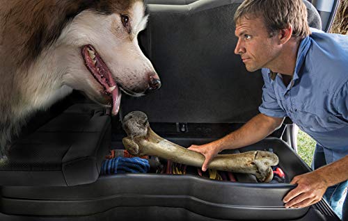 Husky Liner Gear Box 09401 - Durable Car Storage Organizer for Trucks & SUVs | Perfect for Road Trips & Outdoor Adventures
