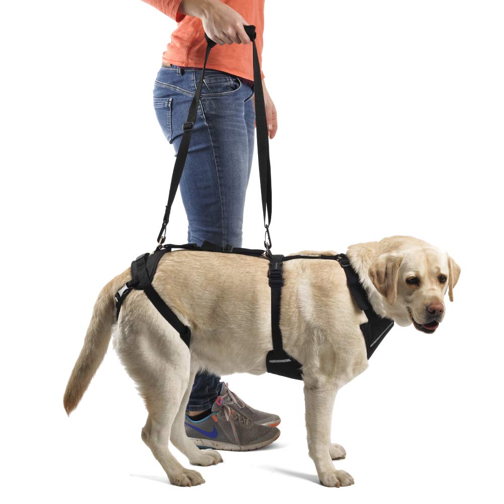 Ortocanis Full-Body Dog Harness for Fore and Hind Leg Support - Adjustable Pet Mobility Aid Vest for Small Dogs (Size S) - Ideal for Senior Dogs, Post-Surgery Recovery & Daily Walking Assistance