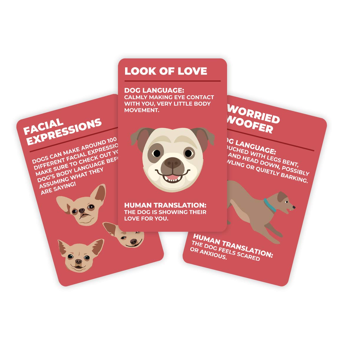 How to Speak Dog - 100 Fun Dog Behavior Training Cards | Learn Dog Language & Puppy Communication | Perfect Gift for Dog Lovers | Use for Training, Bonding & Understanding Your Pet