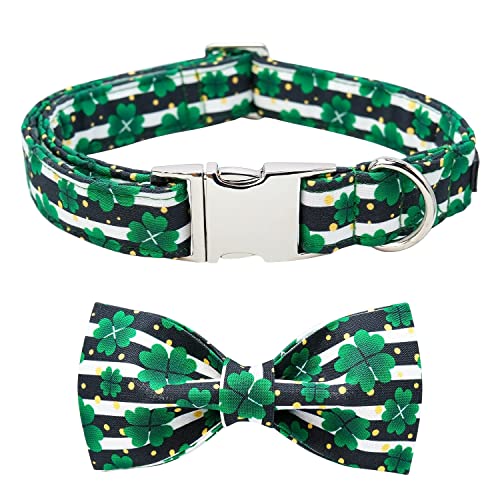 B-stripe clover