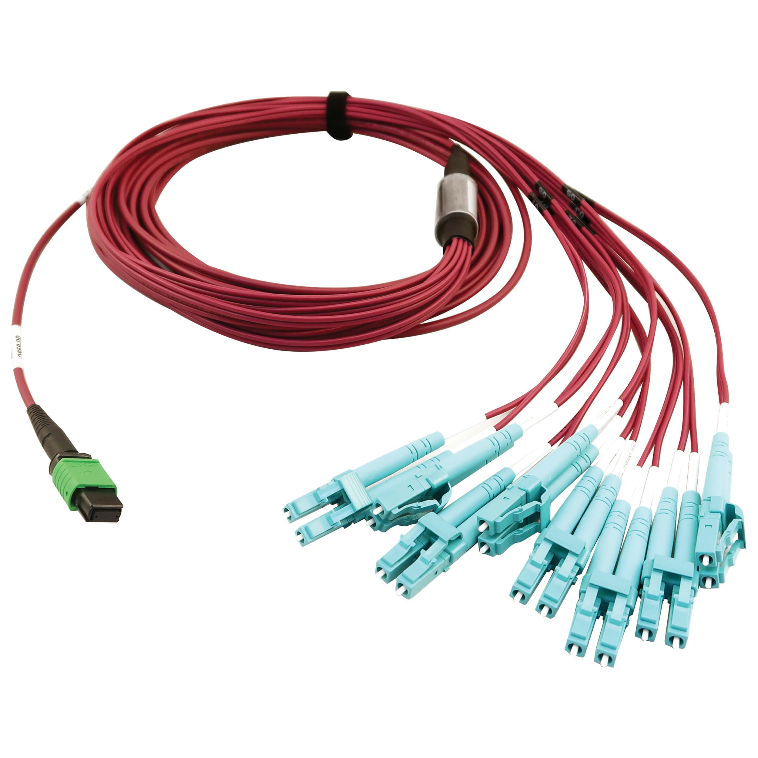 Tripp Lite 400GB OM4 Multimode Fiber Optic Cable (50/125) - 16F MTP/MPO-APC to 8X LC Duplex, Plenum Rated, 5m Magenta (N846D-05M-16EMG) - High-Speed Data Center & Server Room Connectivity Solution