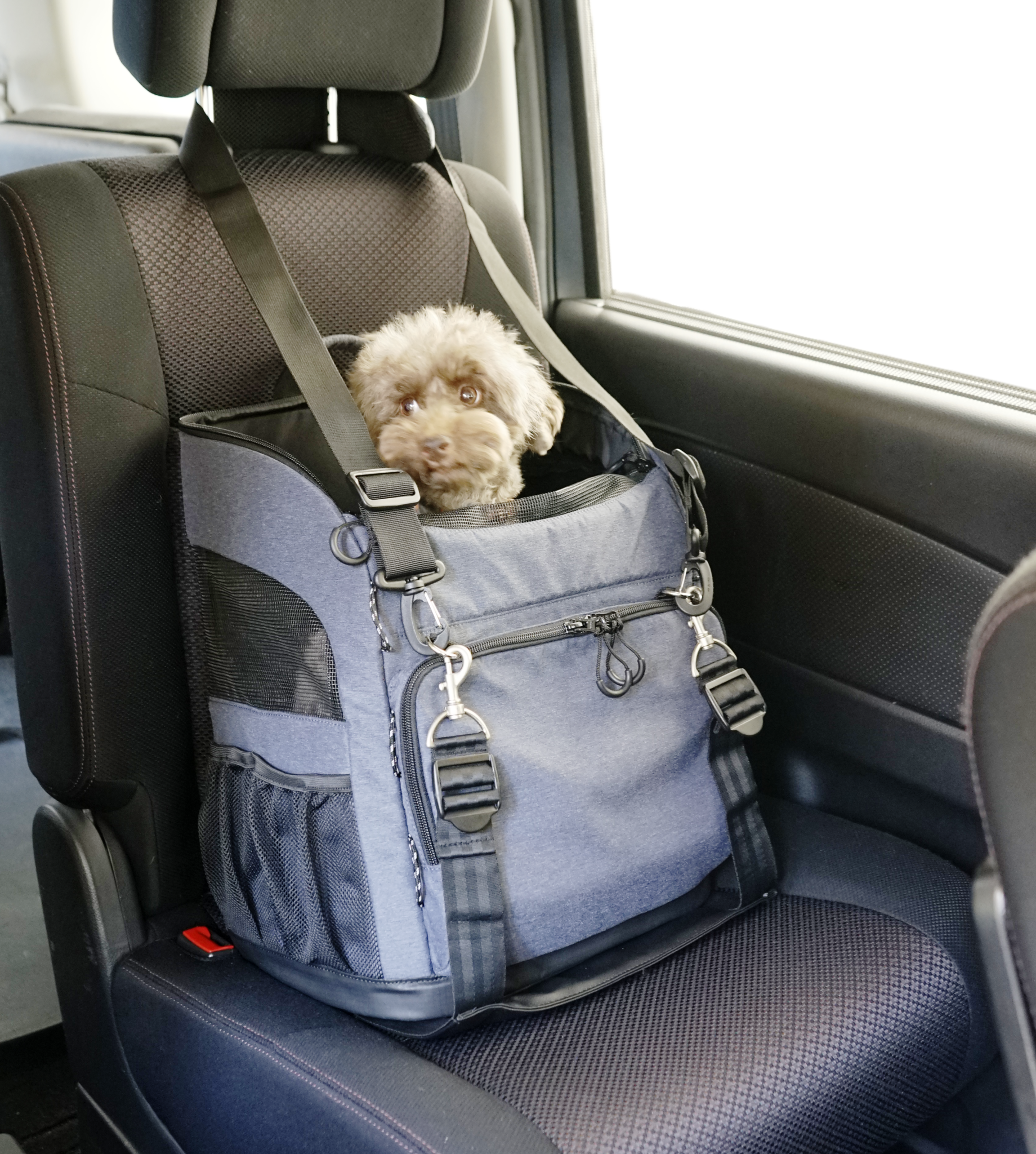 DOME2 ISOFIX Car Seat Belt - Universal Baby Safety Harness for Secure Travel - Perfect for Cars, SUVs, and Minivans