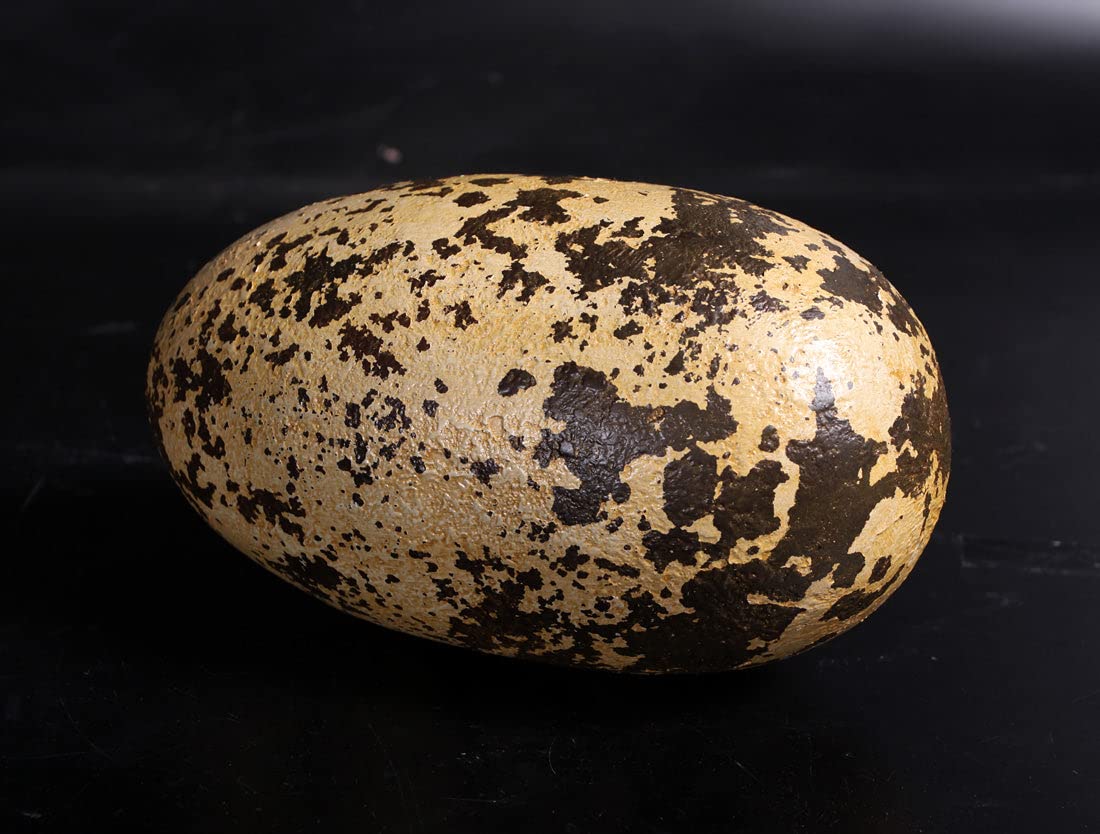 LM Treasures Small Theropod Dinosaur Egg Life-Size Replica - Perfect for Dinosaur Enthusiasts, Home Decor & Educational Displays