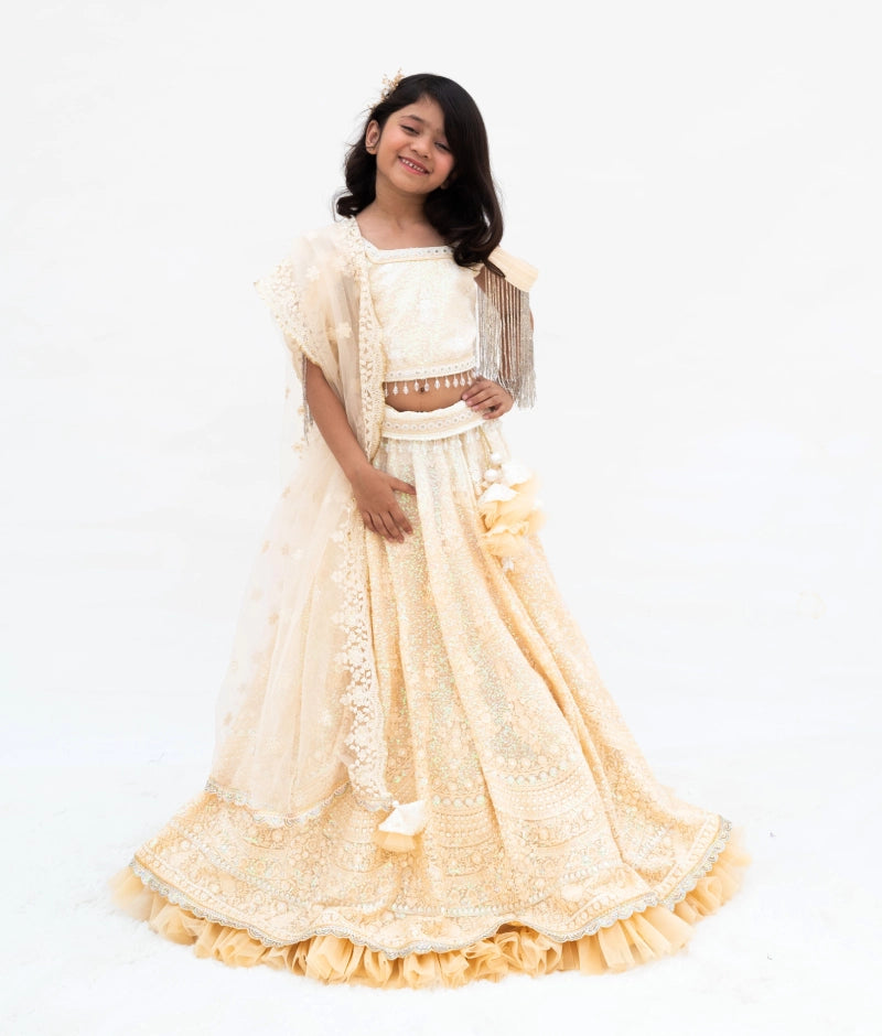 Pre Order: Beige Ombre Lehenga Choli Set for Women – Indian Wedding Outfit, Festive Ethnic Dress for Bridal, Sangeet & Cultural Events