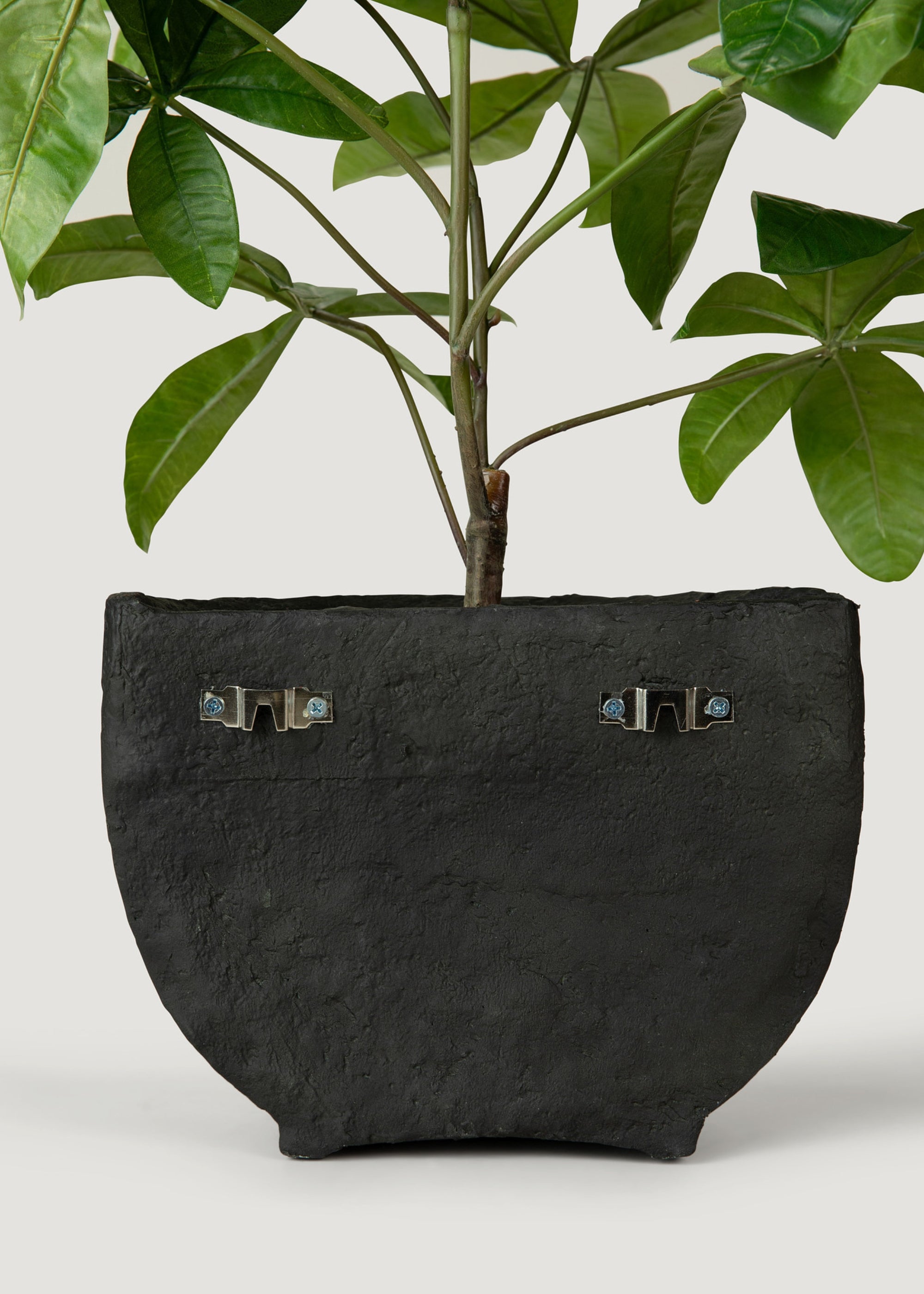 31.5 Inch Wall Hanging Half Pot Money Tree Plant - Perfect for Home Decor, Office Feng Shui & Indoor Greenery
