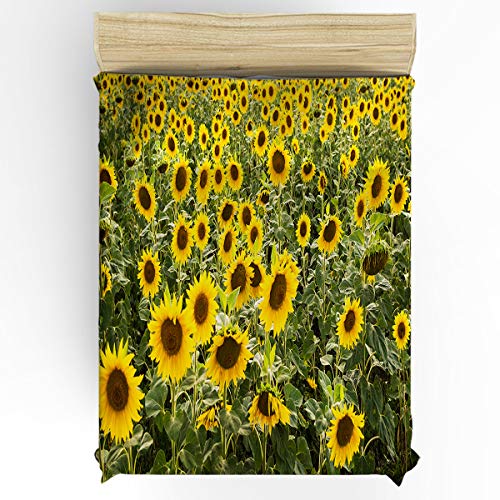Sunflowerthh4443