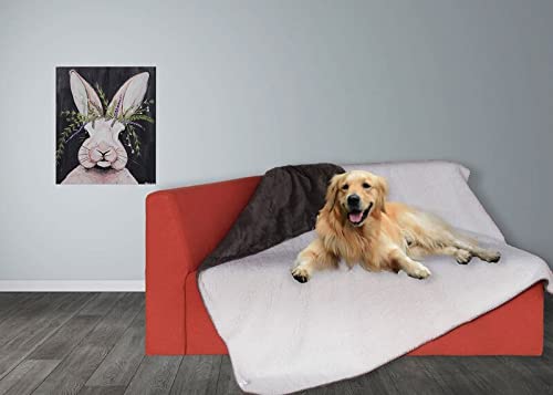 Waterproof Dog Blanket - Soft Reversible Plush Pet Blanket for Couch, Bed & Car - Washable Furniture Protector for Large Dogs & Cats - Dark Coffee Brown - Perfect for Home, Travel & Outdoor Use