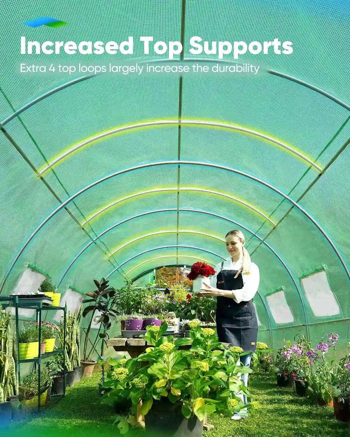 25' x 10' x 6.6' Large Walk-in Greenhouse with Upgraded Frame - Perfect for Backyard Gardening, Plant Growing & Outdoor Storage