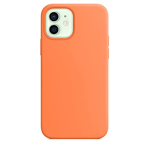 Kumquat