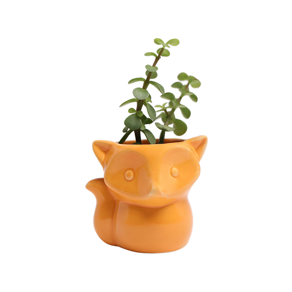 Fox Ceramic Indoor Plant Pot for Succulents - Small Decorative Flower Pots with Drainage Hole - Perfect for Home, Office, and Garden Decor